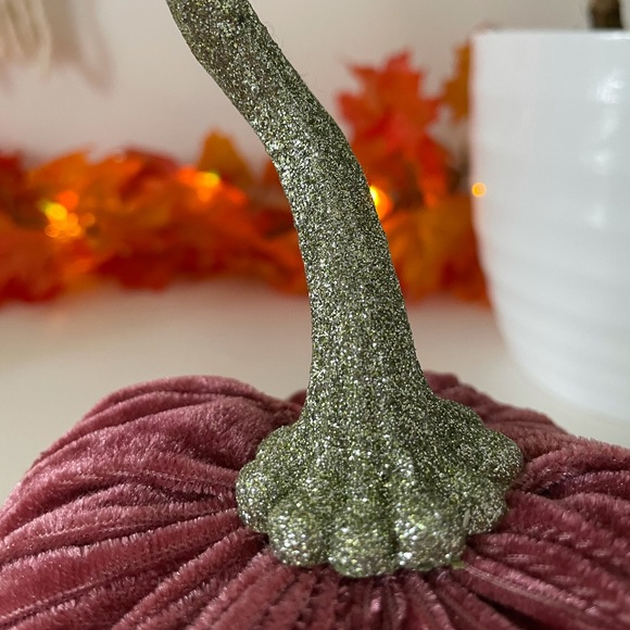 Pink Velvet Pumpkin with Glitter Stem - Picture 2 of 2